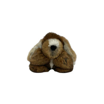 Charm Dora #puppy