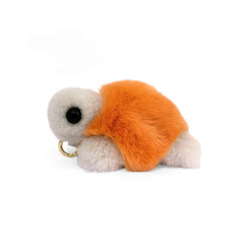 Charm-Dora-turtle