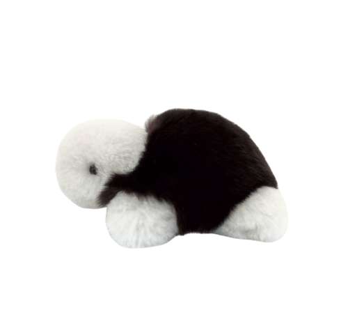 Charm Dora #turtle